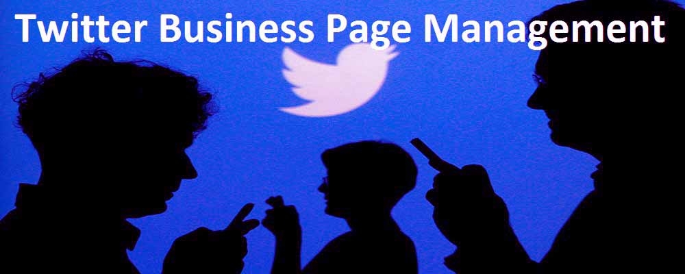 Service Provider of Twitter Business Page Management